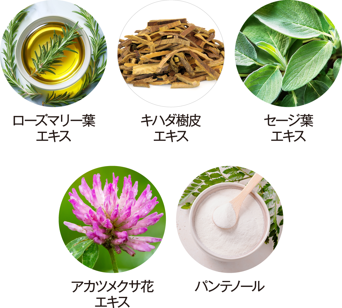 ローズマリー葉エキス、キハダ樹皮エキス、セージ葉エキス、アカツメクサ花エキス、パンテノール